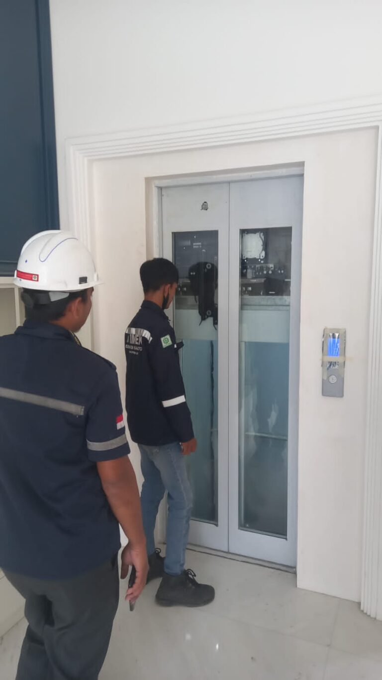 inspection lift unit